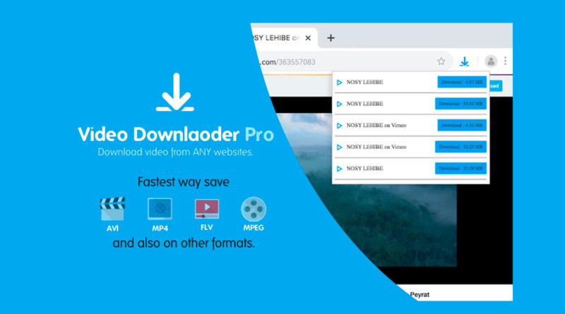 Any Video Downloader Pro for windows